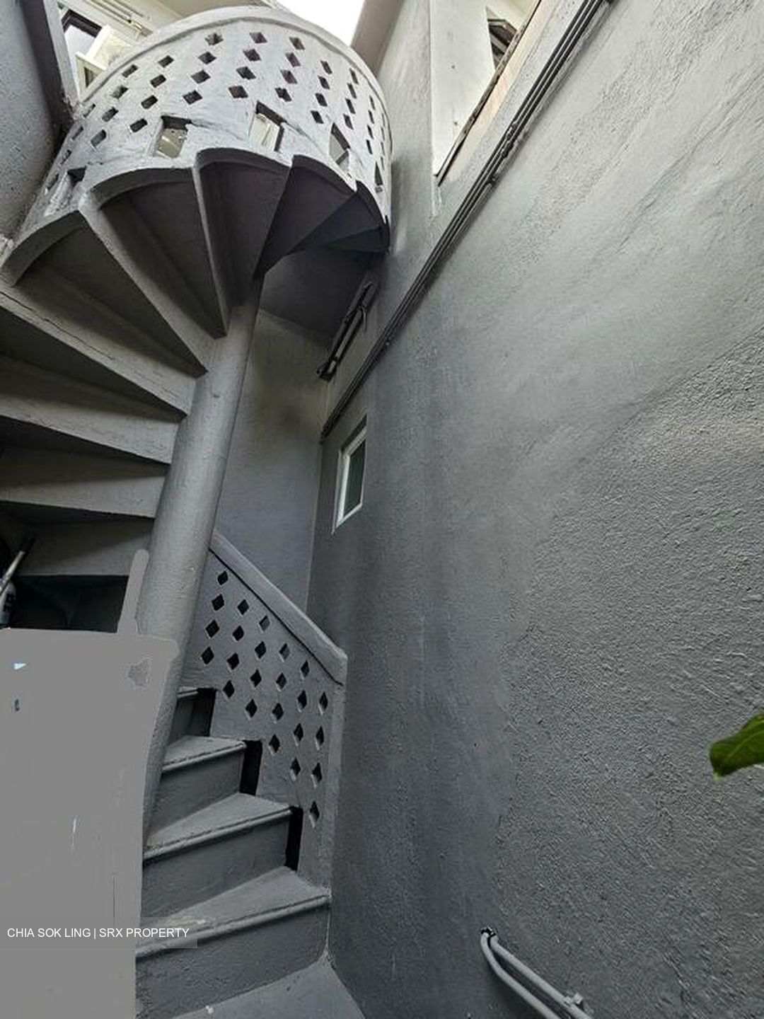 Carlisle Road (D8), Terrace #501608501